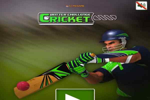 Play Cricket Batter Challenge