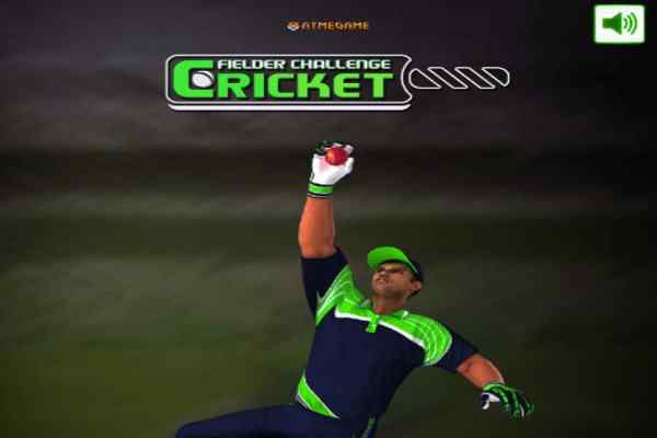 Play Cricket Fielder Challenge