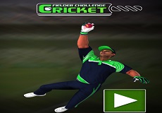 Cricket Games 🕹️  Play For Free on GamePix